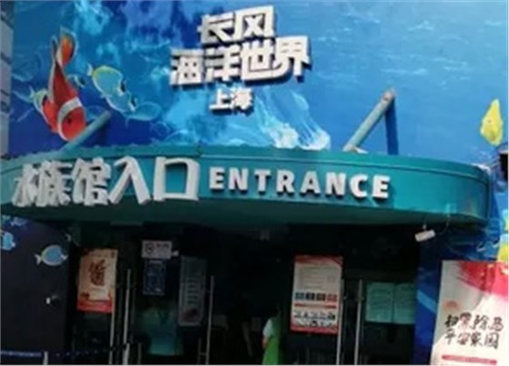 長(zhǎng)風(fēng)海洋世界 長(zhǎng)風(fēng)海洋世界