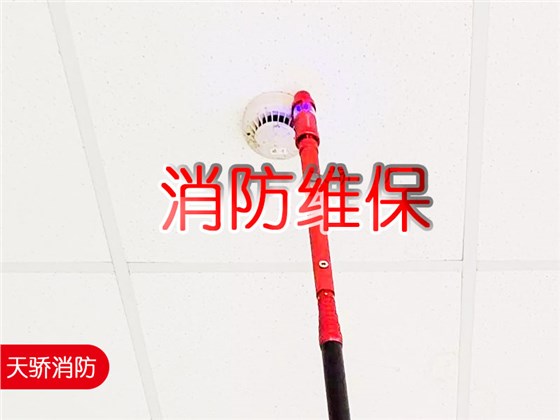 上海消防維保-煙感測試