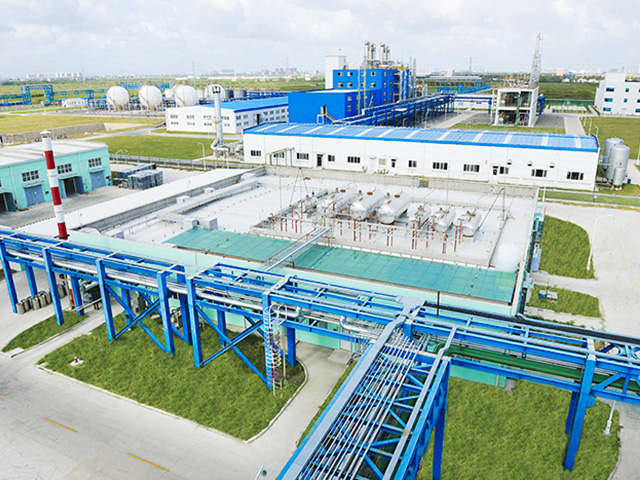 上海星可高純?nèi)軇┯邢薰鞠腊踩u估 上海星可高純?nèi)軇┯邢薰鞠腊踩u估